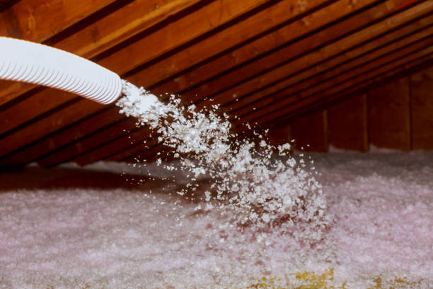 Best Insulation Maintenance and Repair in Southworth, WA