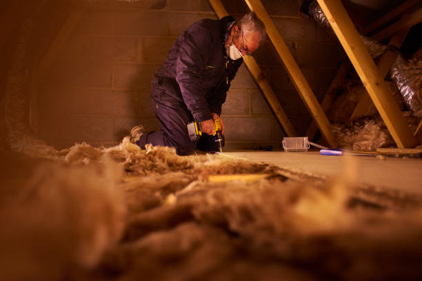 Best Insulation Maintenance and Repair in Southworth, WA